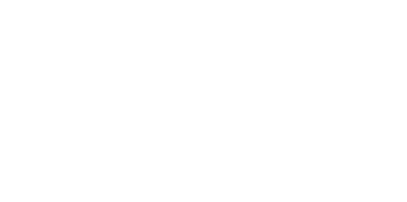 logo ufly